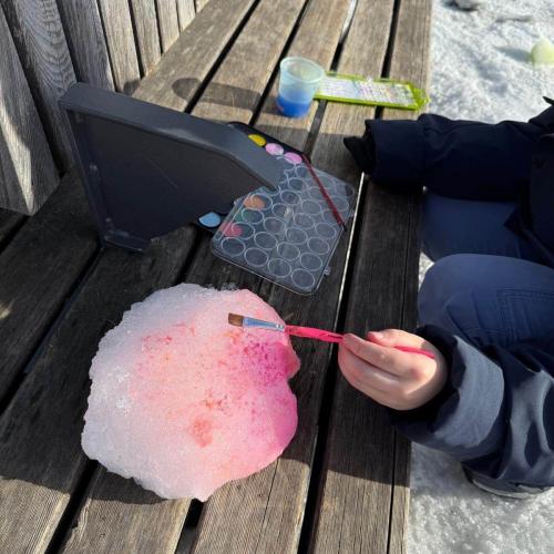 Schüler der MSU Reutte