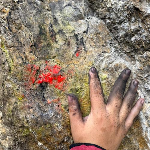 Mit Naturmaterialien malen